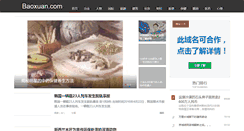 Desktop Screenshot of baoxuan.com